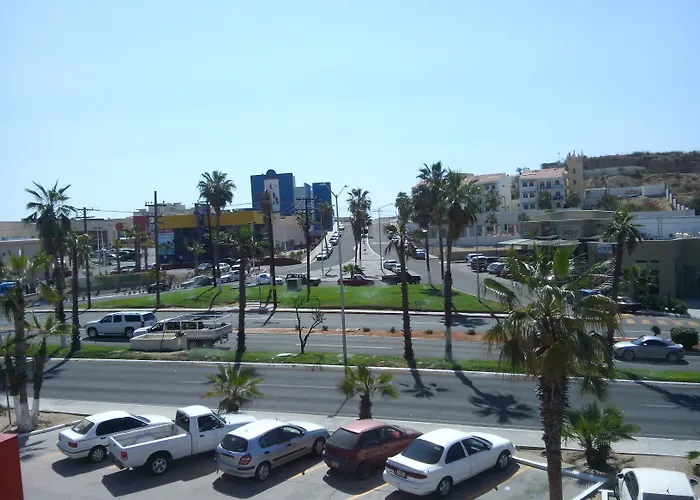 Palmas