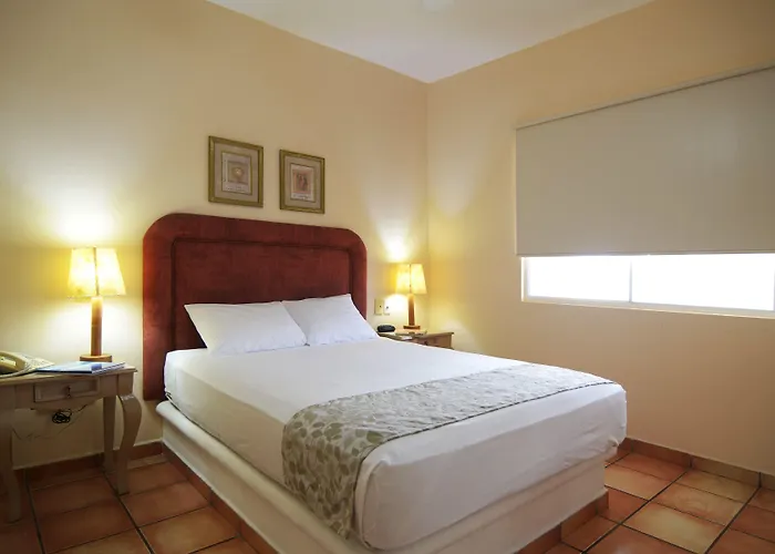 Palmas San José del Cabo