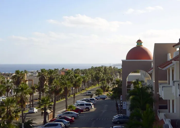 Palmas San Jose del Cabo