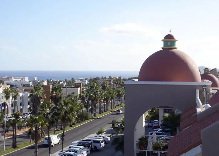 Palmas San José del Cabo