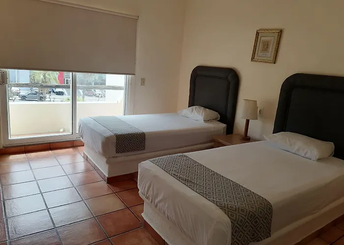 Palmas San José del Cabo