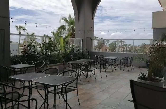 Palmas