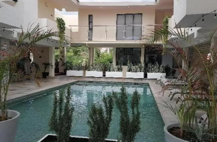Palmas San Jose del Cabo