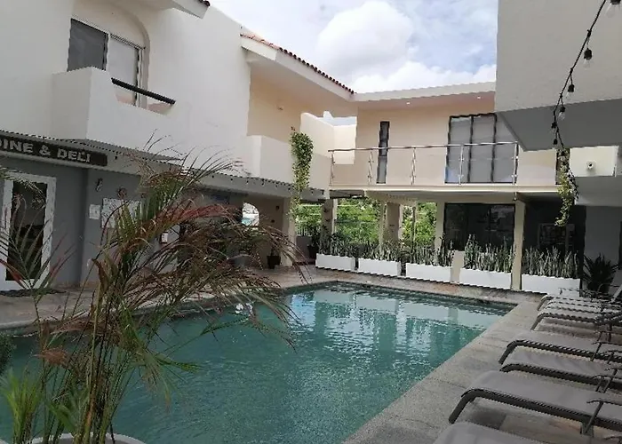 Palmas San Jose del Cabo