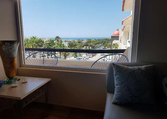 Palmas San José del Cabo