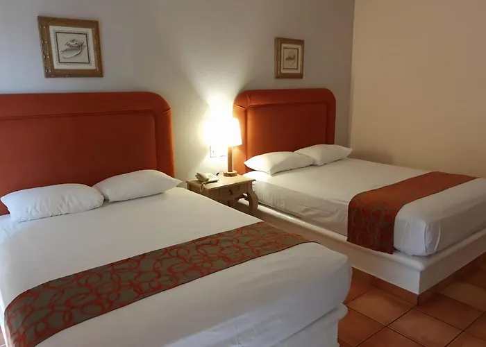 Palmas San José del Cabo